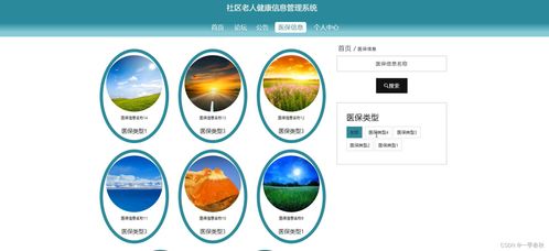 基于SpringBoot Vue社区老人健康信息管理系统的设计与实现 网络与信息安全软件开发实践