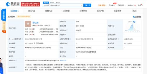 网络与信息安全软件开发 筑牢数字世界的隐形长城